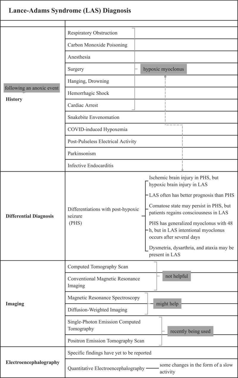 Lance-Adams Syndrome: An Updated Review of a Rare Post-Hypoxic Complication.