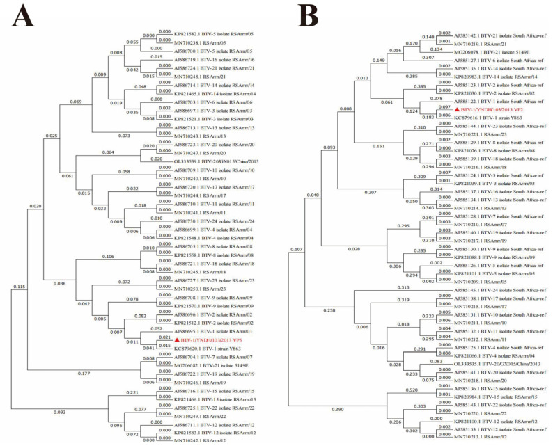 Genomic Characteristics of a Novel Recombinant Bluetongue Virus Serotype 1 in Yunnan, China.