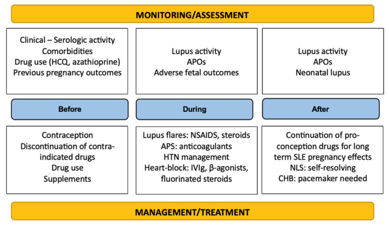 Systemic Lupus Erythematosus in Pregnancy.