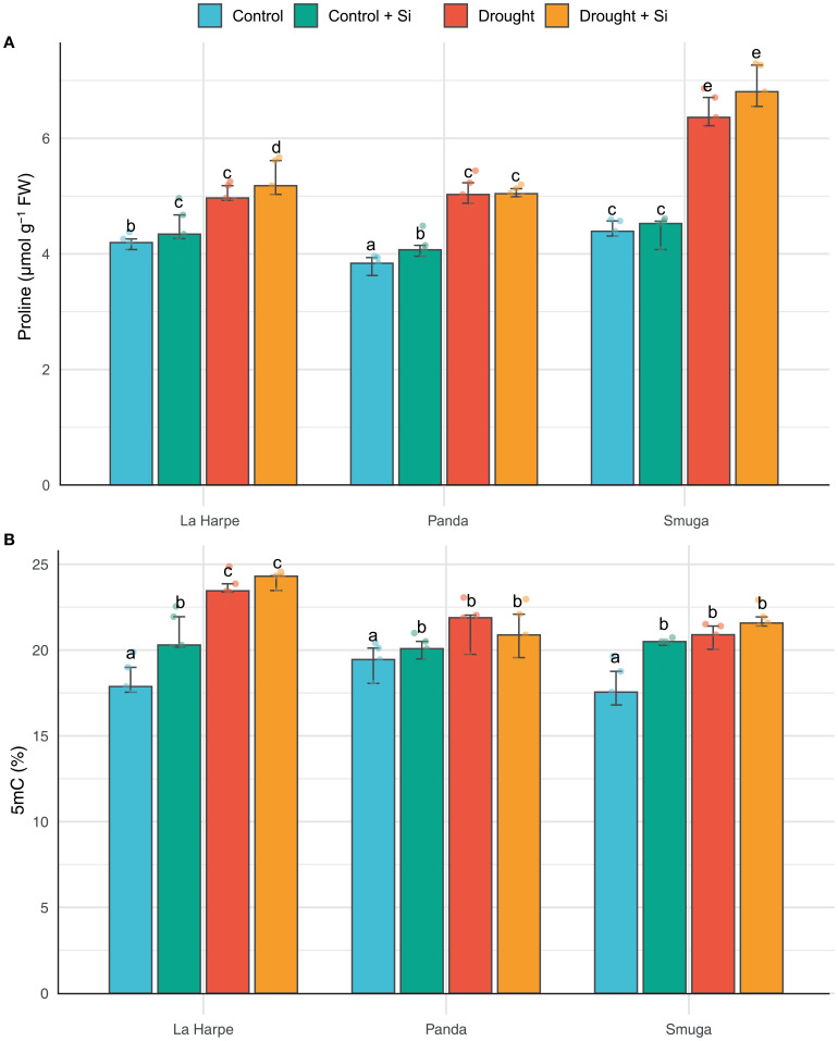 Silicon application enhances drought resilience in buckwheat: a comparative study of three varieties.