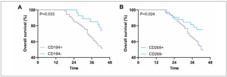 Assessment of prognostic risk of death in patients with multiple myeloma based on CD184 and CD269: A retrospective analysis.