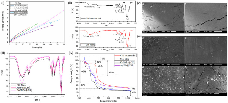 Selective Antimicrobial Chitosan Films Incorporating Green-Synthesized Silver and Copper Oxide Nanoparticles for Acne Treatment.