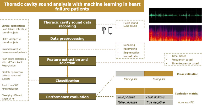 Streamlining heart failure patient care with machine learning of thoracic cavity sound data.