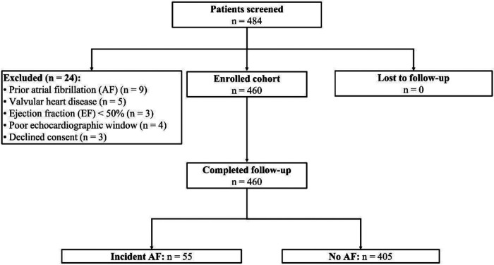 Epicardial adipose tissue thickness on transthoracic echocardiography predicts 2-year incident atrial fibrillation in elderly hypertensive patients.
