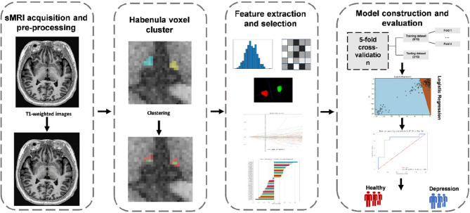 High-resolution structural magnetic resonance examination of the Habenula in patients with first-episode depression: an exploratory radiomics diagnostic value analysis based on cluster analysis.
