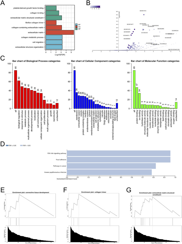Uncovering differential gene expression between mtRNA-positive and -negative osteosarcoma cells: implications beyond mitochondrial function.