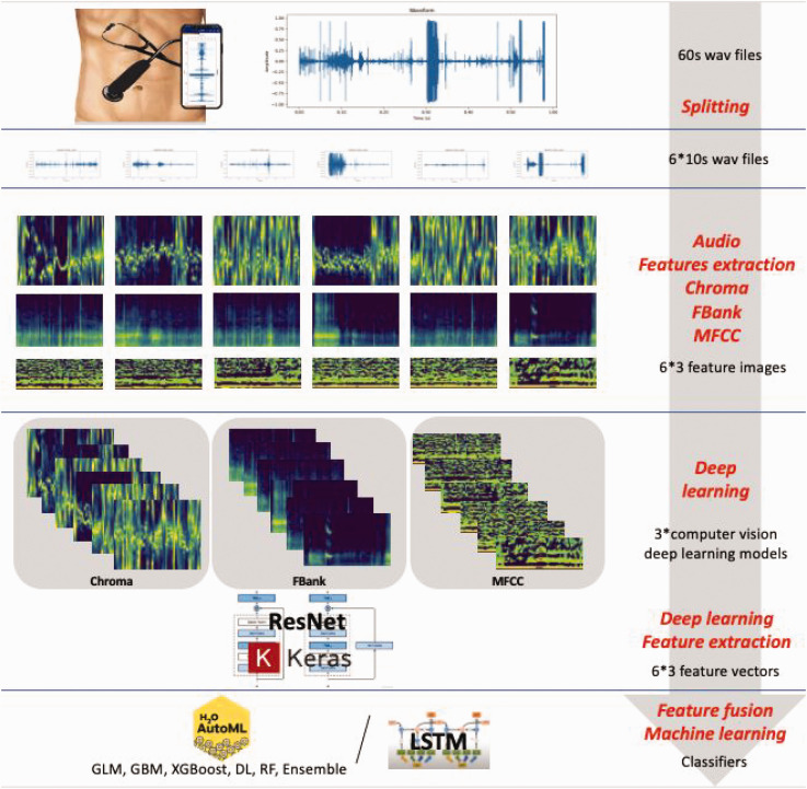 Explainable ResNet-long short-term memory model for the classification of bowel sounds frequency based on multifeature fusion.