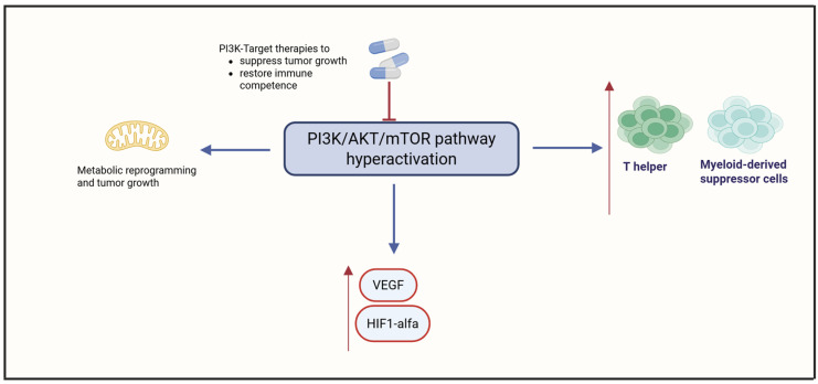 Tumor Immune Microenvironment and Checkpoint Inhibition in Clear Cell Ovarian Carcinoma: Bridging Tumor Biology and Clinical Application in Immunotherapy.