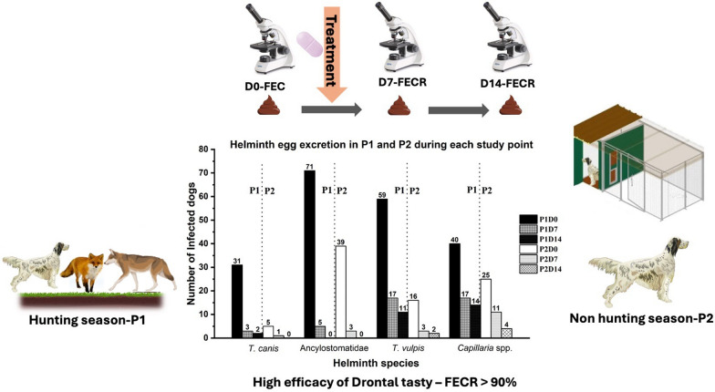 Field efficacy of Febantel, Pyrantel embonate and Praziquantel (Drontal® Tasty) against naturally acquired intestinal helminths of hunting dogs in southern Italy.