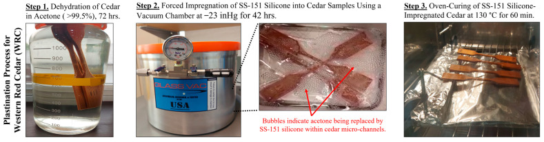 Towards a New Plastination Technique for Moisture Management of Western Red Cedar Without Loss of Strength and with Enhanced Stability.