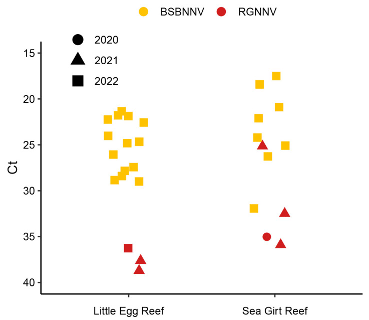 Detection and Genetic Characterization of Red-Spotted Grouper Nervous Necrosis Virus and a Novel Genotype of Nervous Necrosis Virus in Black Sea Bass from the U.S. Atlantic Coast.