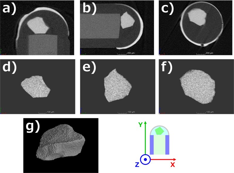 Three-dimensional reconstruction of a small piece of Ce-doped lithium glass scintillator of an optical fiber-based neutron detector using microcomputed tomography technique.