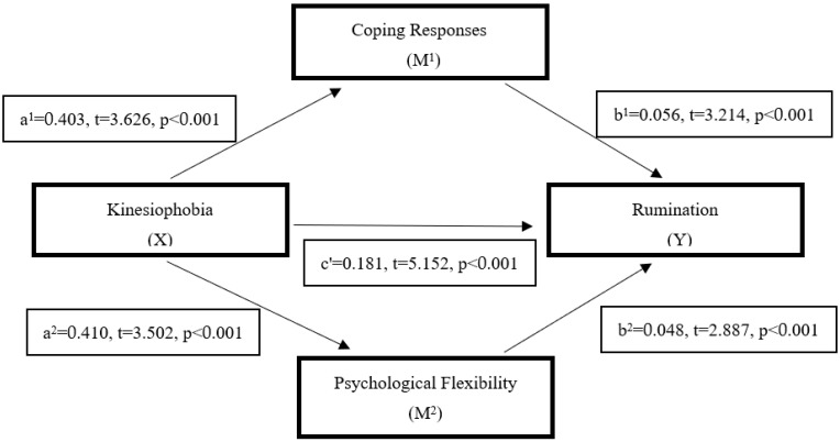 Breaking the Cycle: How Coping and Flexibility Disrupt the Link Between Kinesiophobia and Rumination in Athletes.