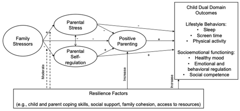 Perceptions of Stress, Well-Being, and Intervention Preferences Among Parents Affected by Major Stressors.