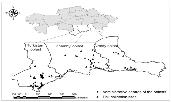 Molecular Study of <i>Theileria annulata</i> and <i>Anaplasma</i> spp. in Ixodid Ticks from Southern Regions of the Republic of Kazakhstan.