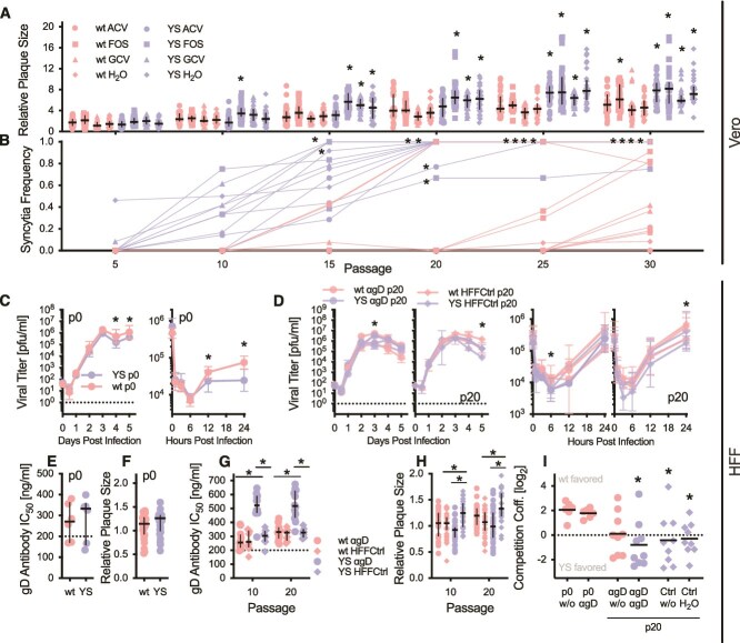 Rapid glycoprotein evolution enables variant interactions in herpes simplex virus type 1.