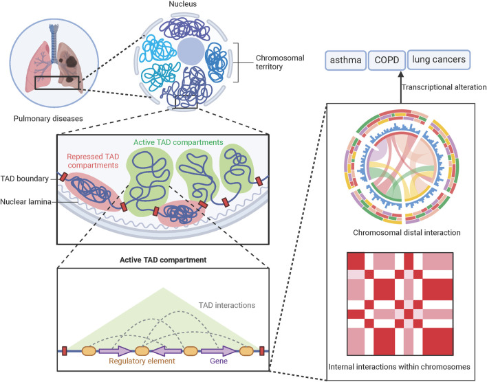 Advancing therapeutic target discovery in pulmonary diseases: evolution and application of space exploration technologies.