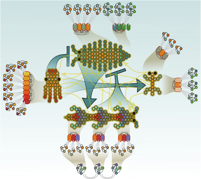 Editorial: Eco-evo-devo: an emergent integrative discipline of biology.