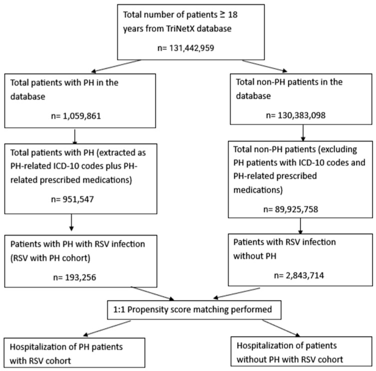 The Impact of Pulmonary Hypertension on Hospitalization Risk in Adults with Respiratory Syncytial Virus Infection.