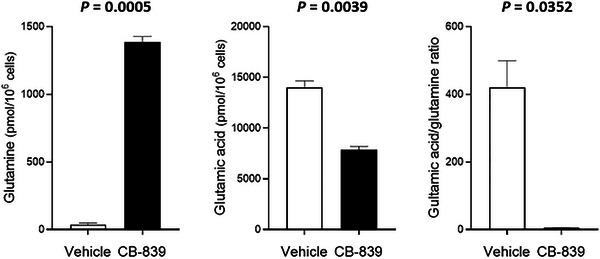 Glutaminase Expression in Canine Large-Cell Alimentary Lymphoma Cells and Effects of Glutaminase Inhibition by CB-839.