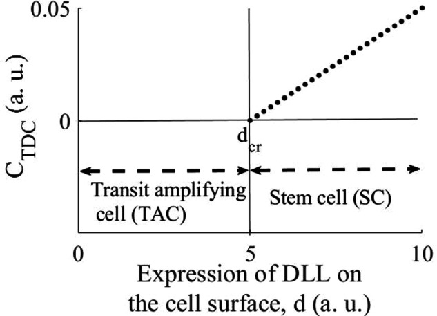 On the mechanisms of epidermal stemness and differentiation.