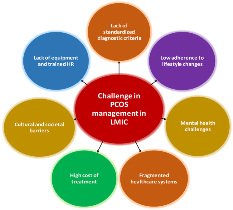 A sustainable public health framework for PCOS management in low- and middle-income countries: a narrative review.