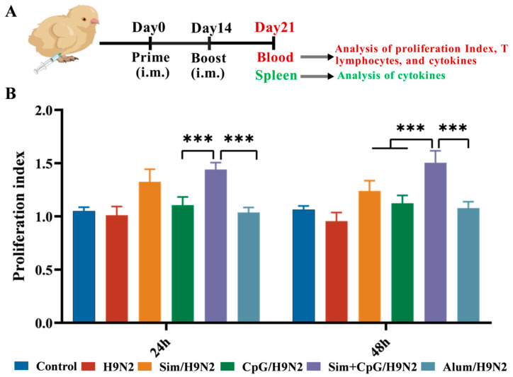 Simvastatin Combined with CpG Enhances the Immunogenicity of the H9N2 Inactivated Vaccine.
