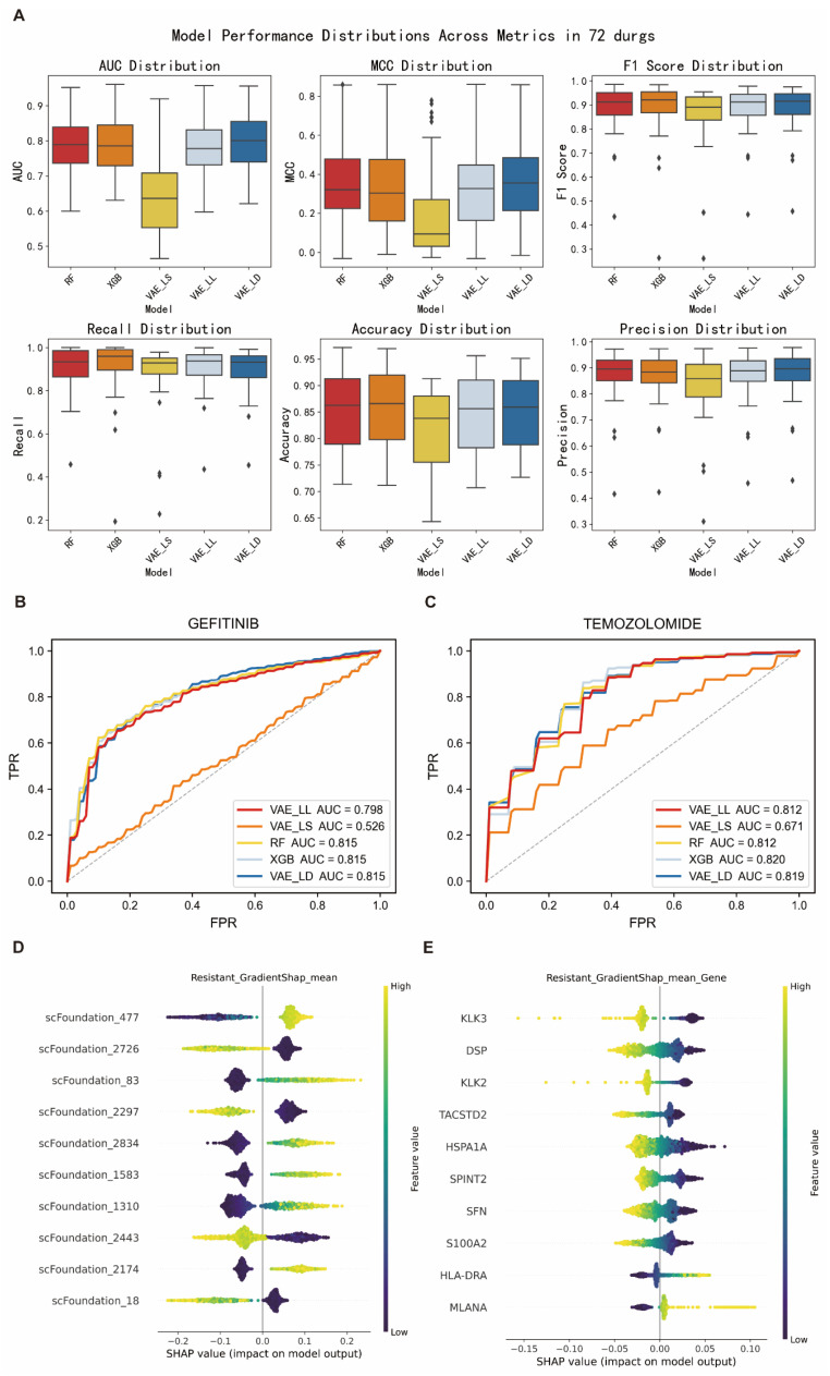 Interpretable Transfer Learning for Cancer Drug Resistance: Candidate Target Identification.