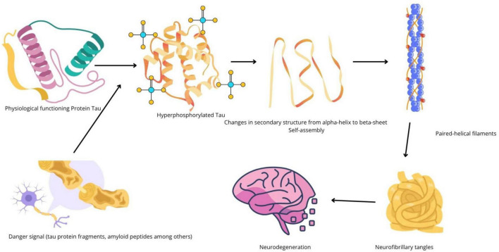 Alzheimer's disease: where do we stand now and what are the strategic interventions?
