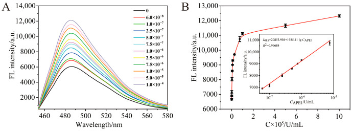 Label-Free and Ultrasensitive APE1 Detection Based on Hybridization Chain Reaction Combined with G-Quadruplex.