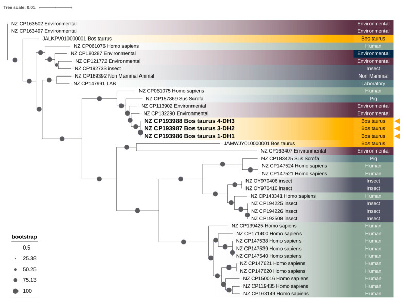 <i>Serratia marcescens</i> Isolates from Bovine Mastitic Milk: Antimicrobial Resistance and Virulence Features.