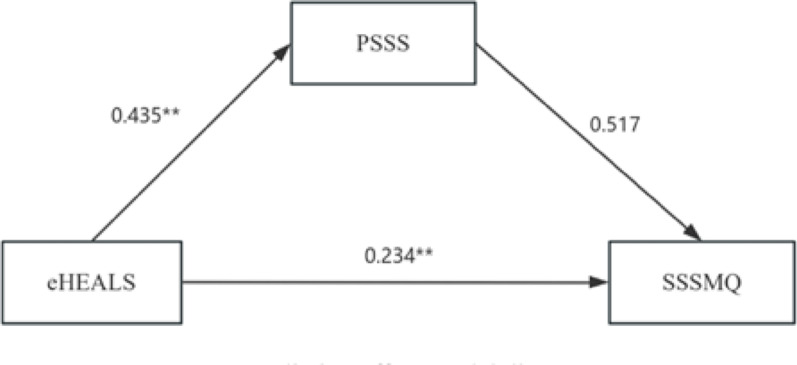 The mediating effect of perceived social support between e-health literacy and self-management ability in elderly stroke patients: a cross-sectional survey.