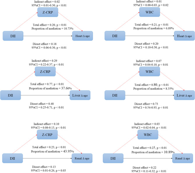 Association of the dietary inflammatory index with multi-organ biological age acceleration.