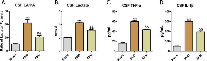 Adiponectin pathway regulates cerebral metabolic dysfunction and neuroinflammation via the AdipoR1/PI3K/Akt axis in Perioperative Neurocognitive Disorder.