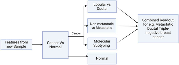 BC-predict: mining of signal biomarkers and production of models for early-stage breast cancer subtyping and prognosis.