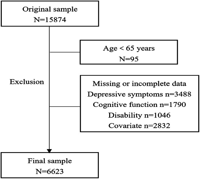 The mediating effect of activities of daily living (ADL) disability on the association between depressive symptoms and cognitive impairment in older adults: a National study.