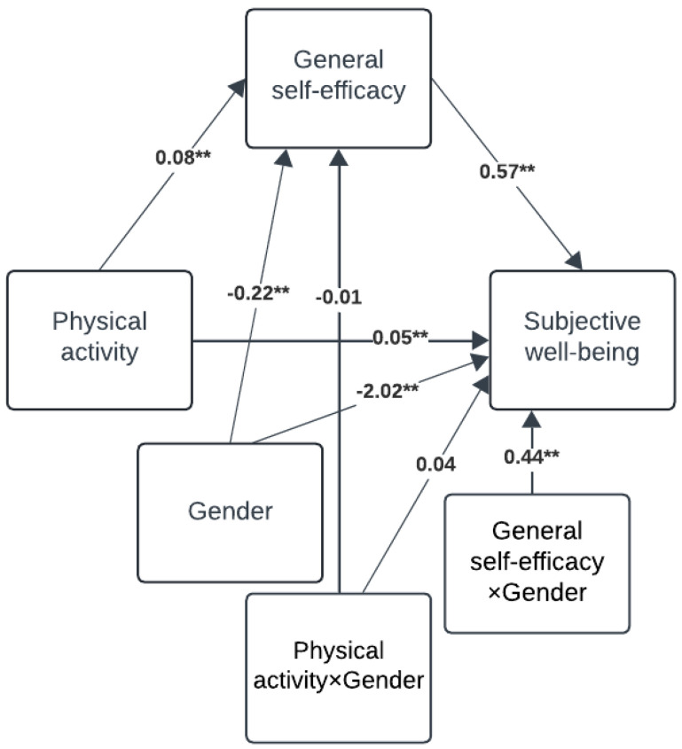 General Self-Efficacy as a Mediator of Physical Activity's Impact on Well-Being Among Norwegian Adolescents: A Gender and Age Perspective.