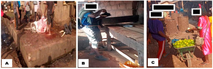 <i>Campylobacter</i> Colonisation of Poultry Slaughtered at Nigerian Slaughterhouses: Prevalence, Antimicrobial Resistance, and Risk of Zoonotic Transmission.