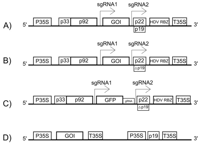 Tomato Bushy Stunt Virus (TBSV): From a Plant Pathogen to a Multifunctional Biotechnology Platform.