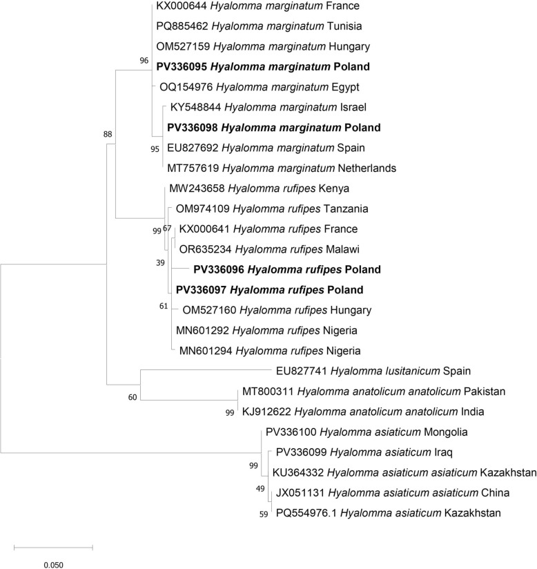 The first finding of Hyalomma rufipes in Poland in 2024: the promising start of a citizen science project.