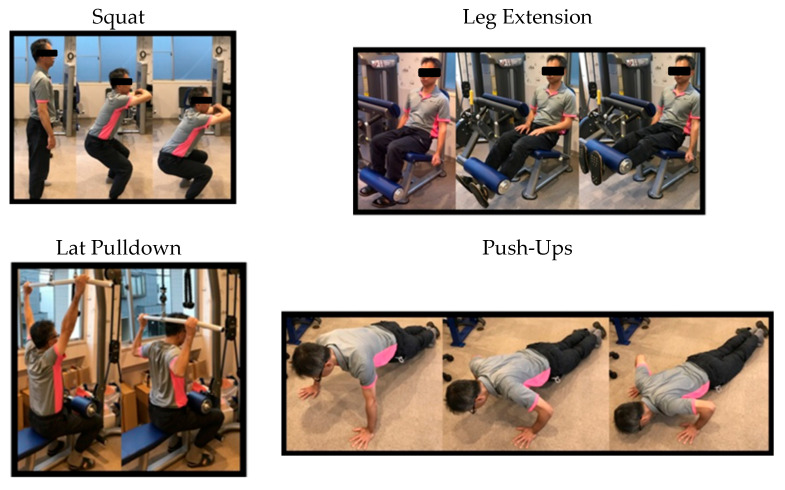 Knowledge of Targeted Muscles and Proper Form in Strength Training: A Cross-Sectional Survey of 1000 Adults Across Age, Sex, and Instructional Experience.