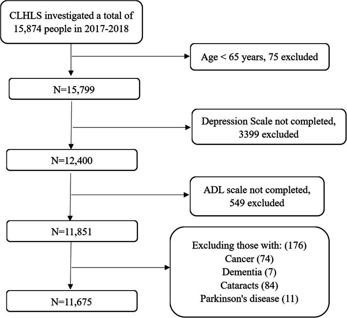 The impact of disability status on depression in the aged with the moderating effect of community support.