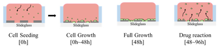Quantitative IC<sub>50</sub> Analysis of Puromycin-Induced Cytotoxicity in NIH/3T3 Cells Using a Multi-Well Array Impedance Biosensor.
