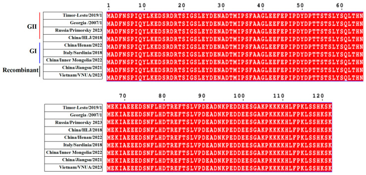 Antibody-Dependent Cellular Cytotoxicity Elicited by the Antibodies Against the E120R Protein of African Swine Fever Virus.
