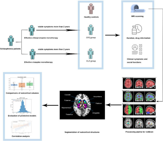 Subcortical volume alteration and correlation with social function under chlorpromazine versus clozapine treatment in schizophrenia.