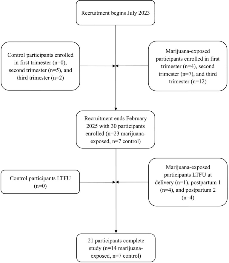 Recruiting marijuana-exposed maternal-infant dyads for longitudinal study: a feasibility assessment.