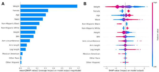 Interpretable machine learning model for low bone density screening in older adults using demographic and anthropometric data: findings from 2005 to 2020 NHANES.