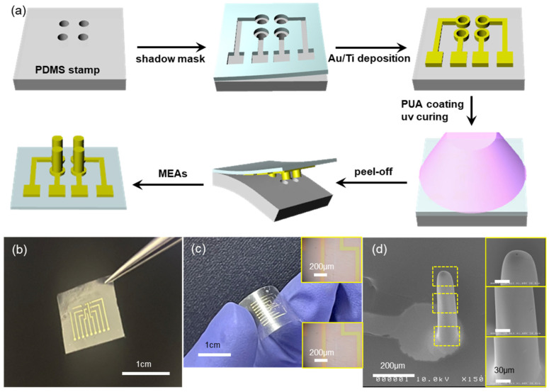 Flexible and Stretchable Microneedle Electrode Arrays by Soft Lithography for Continuous Monitoring of Glucose.