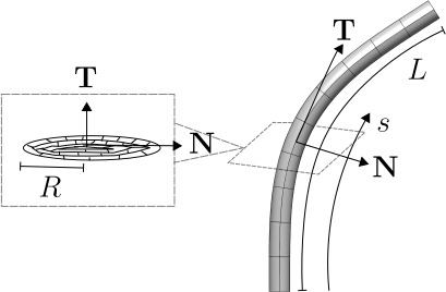 GrowCAD: bioinspired mathematical design for additive manufacturing.