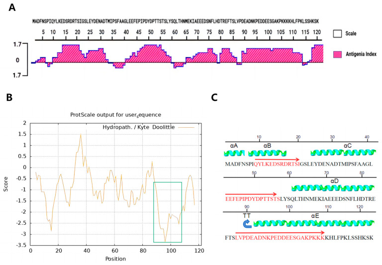 Antibody-Dependent Cellular Cytotoxicity Elicited by the Antibodies Against the E120R Protein of African Swine Fever Virus.